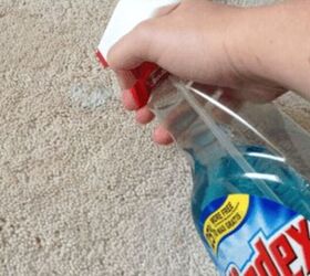 10 brand-new, wild ways to use Windex™ (you've never seen these!)