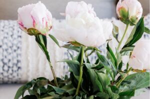 How to make your home look classier & more expensive on a dime