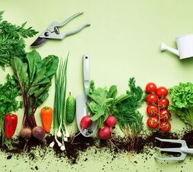 Vegetable Gardening Basics: The 8 Top Vegetables to Grow