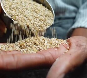 make your own cereal corn flakes rice krispies raisin bran more