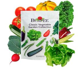 Burpee Organic Non-GMO Vegetable Seeds - image via Amazon