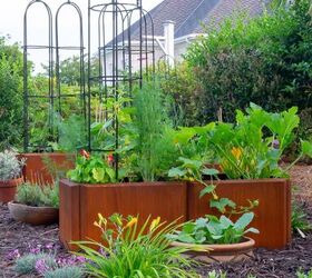 How to have a full, low-maintenance garden stocked full of plants