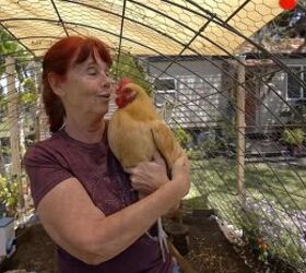 retiring in a tiny house margies tiny home retirement experience, Margie with her chicken