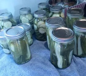 9 nostalgic meal prep ideas inspired by grandma s cooking, Image Credit Cassandra Smet