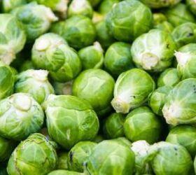 best veggies to grow according to soil type a comprehensive guide, Brussels sprouts image via Canva