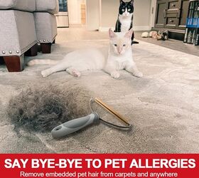 calling all pet owners you need these 6 genius cleaning products