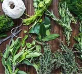 How to preserve fresh herbs for maximum flavor