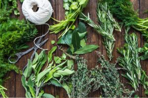 How to preserve fresh herbs for maximum flavor