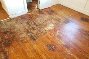 3 brilliant wood cleaner hacks to make your floors look brand-new