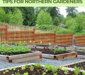 Gardening in a cold climate: 6 essential tips for northern gardeners