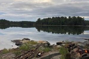 20+ self-reliance activities that work when you're not off the grid