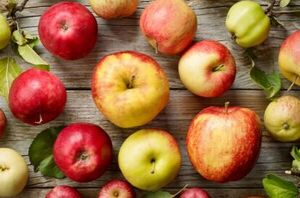 27 delicious apple-based recipes (both sweet and savory dishes!)