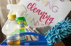 How she made sure she didn't miss anything on her spring to-do list