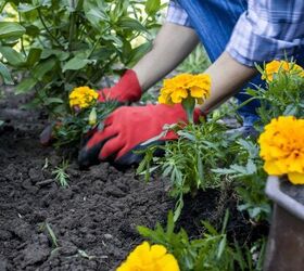 Why planting flowers is the most simple yet powerful way to enhance your surroundings