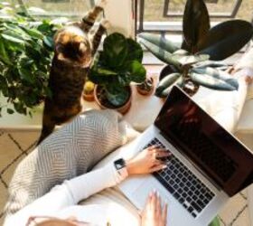 19 jobs that will hire you without experience