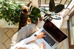 19 jobs that will hire you without experience