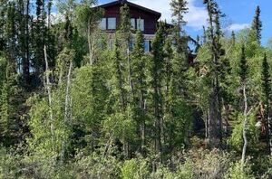 45 best homestead blogs for 2025