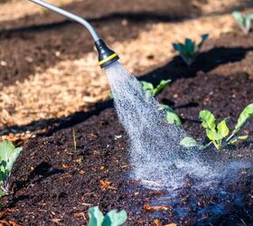 Interested in seasonal gardening? Here are tasks you need to complete throughout the year