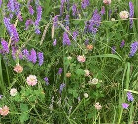 If you're looking for a simple way to add flavor to your off-grid meals, look no further than your garden