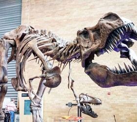 Here's how to get free museum admission for yourself or your family
