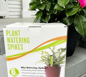The best way to keep plants watered while on vacation