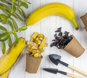 10 surprising ways to use banana peels around the home, Image Credit Little Passports