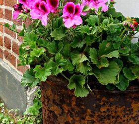 Is your front porch looking a little lackluster? Don't miss these stunning planters!