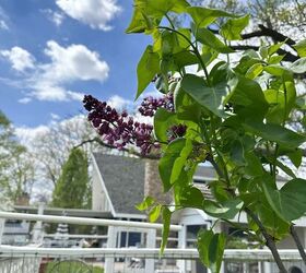 Here's how you set the stage for a healthy, vibrant garden all summer long