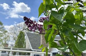 Here's how you set the stage for a healthy, vibrant garden all summer long