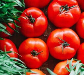 Frugal gardening: Enjoy the fruits of your labors without breaking the bank!