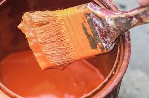 12 things you should NEVER throw in the trash