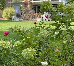 How to create a cottage garden that makes every day feel a little more charming