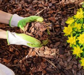 Should you buy bagged or bulk mulch? How to choose the best option for your garden