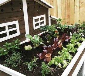8 adorable chicken coop gardening ideas