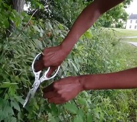 8 ways this amateur herbalist built her own home apothecary