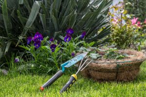 Don't miss these 30 must-have gardening tools!