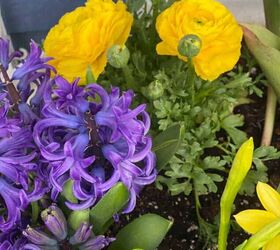 What to plant in your fall garden for the most beautiful results later