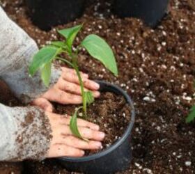 18 old-school hobbies Boomers grew up with (start these today!)