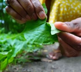 A Beginner’s Guide to Foraging, Crafting, and Natural Healing | Simplify