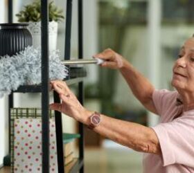 5 houseplants that naturally help reduce dust in your home