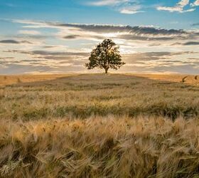 The hardest part of making minimalism work for you