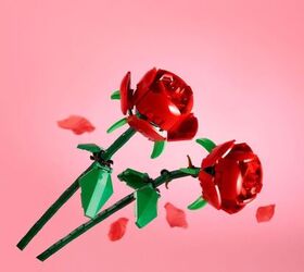 Thoughtful Valentine's Day Gifts Under $20 for Everyone You Love | Simplify