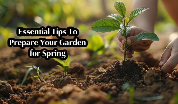 Essential Tips To Prepare Your Garden for Spring | Simplify