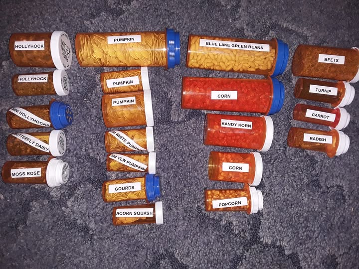 Creative Pill Box 10 Creative Ways to Reuse Pill Boxes | Simplify
