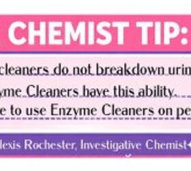 things making your house smell bad and the quick science to fix it