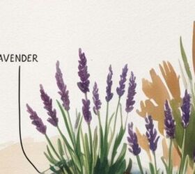 Check out these container garden flowers (perfect for small spaces & beginners!)