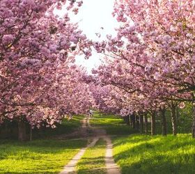 5 major decluttering wins to kickstart a simpler life