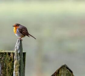 Check out her passive methods that let you declutter with little to no effort