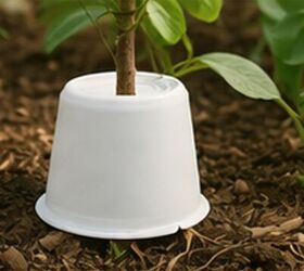 5 genius ways to repurpose empty yogurt cups in your yard (wow!)