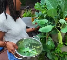 How to create a deck garden that gives you fresh greens, herbs, and vegetables for months
